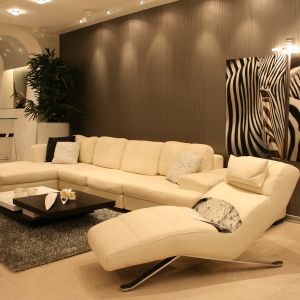 mod (1)
